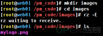 DSC0000.png